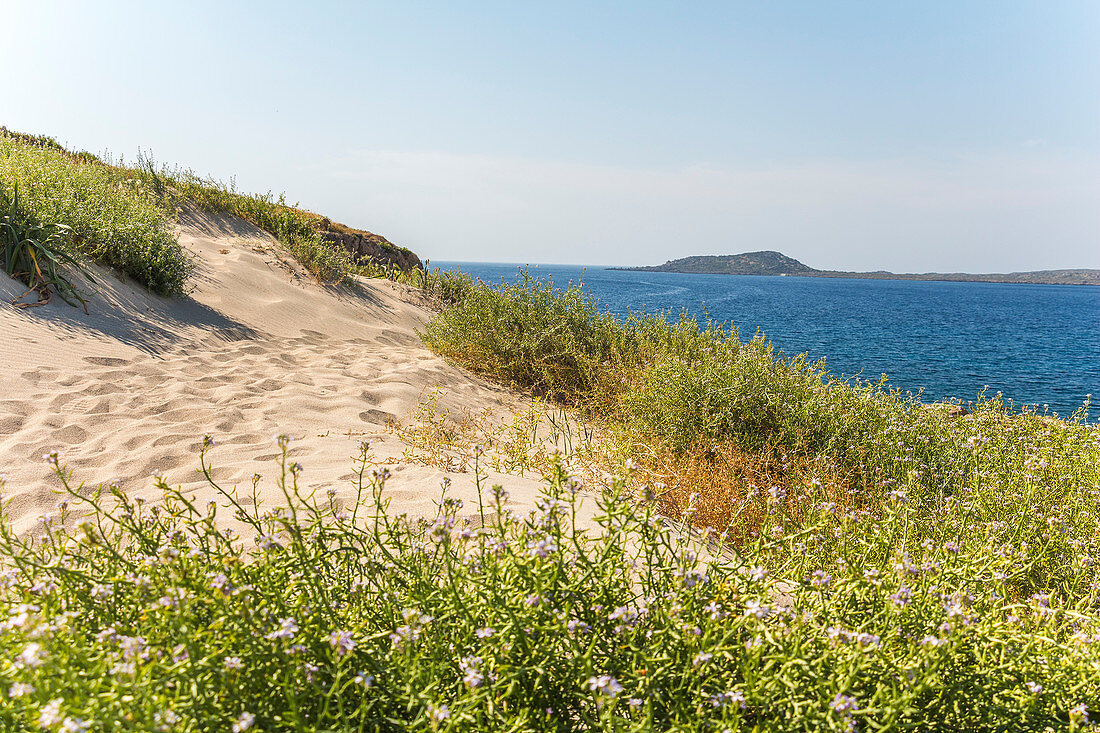 Sanddünen auf Halbinsel Elafonissi am Elafonissi Strand mit pinkem Sand, Südwesten Kreta, Griechenland