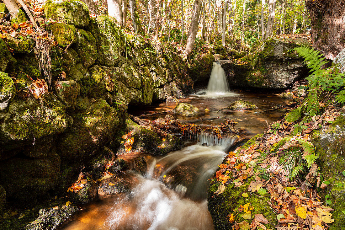 Ein kleiner Wasserfall in der Ysperklamm in Niederösterreich im Herbst, Österreich