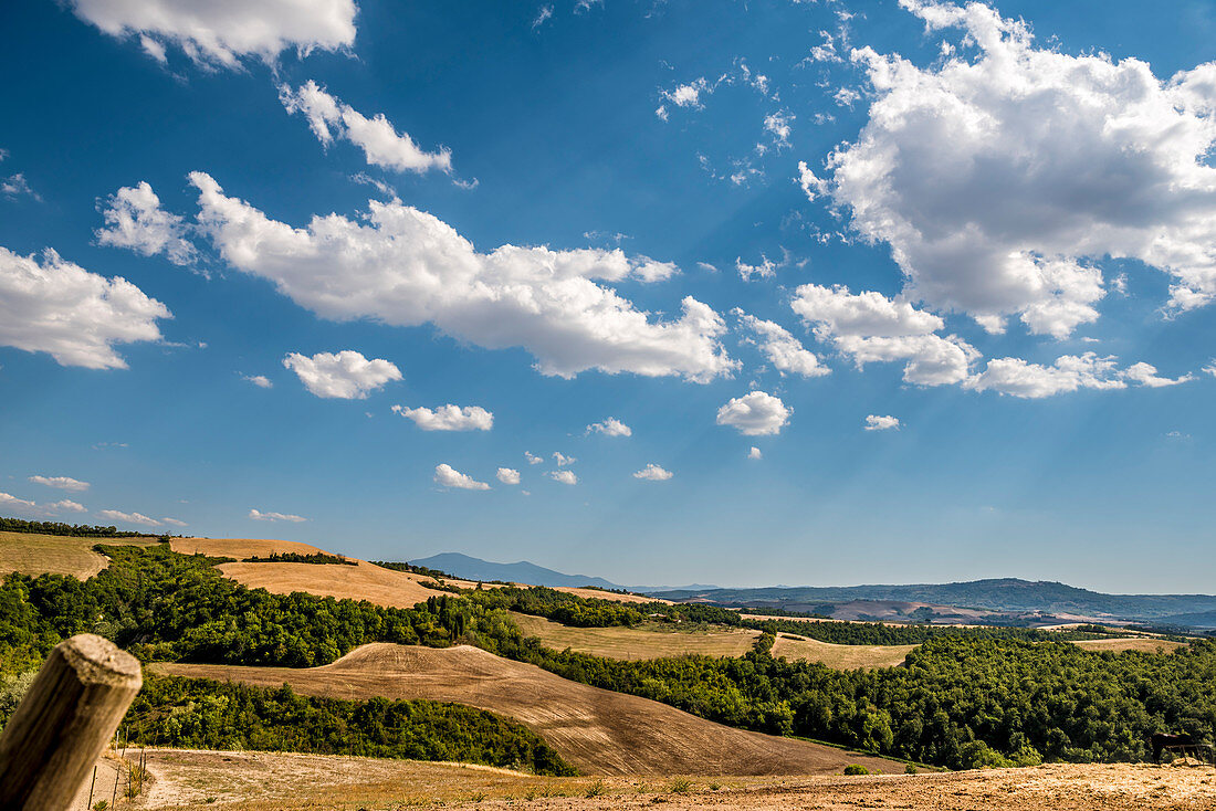 Hilly landscape with sunburnt fields in midsummer, Buonconvento, Tuscany, Italy