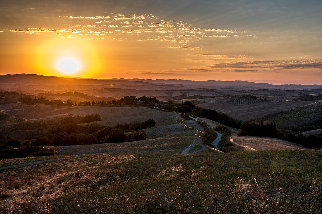 Hilly landscape in the sunset, Buonconvento, Tuscany, Italy