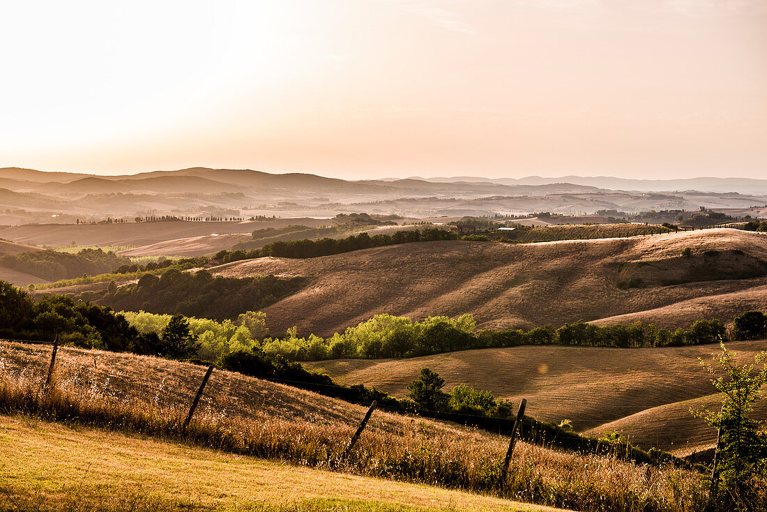 Hügellandschaft mit sonnenverbrannten Feldern im Hochsommer, Buonconvento, Toskana, Italien