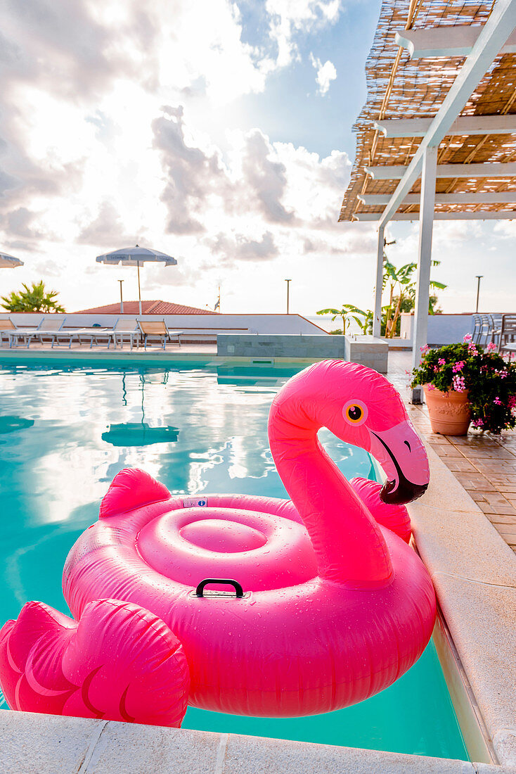 Plastic flamingo in a pool, Italy