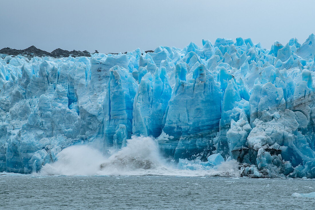 Während des Kalbens fallen große Eisbrocken von der Gletscherwand und spritzen ins Wasser, Pio XI Gletscher, Magallanes y de la Antartica Chilena, Patagonien, Chile, Südamerika