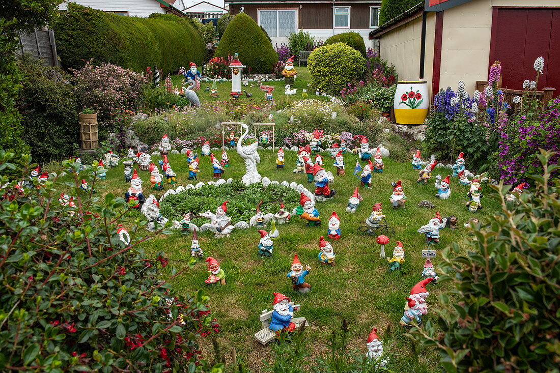 Hundreds of garden gnomes populate this garden and have become one of the city's highlights, Stanley, Falkland Islands, British Overseas Territory
