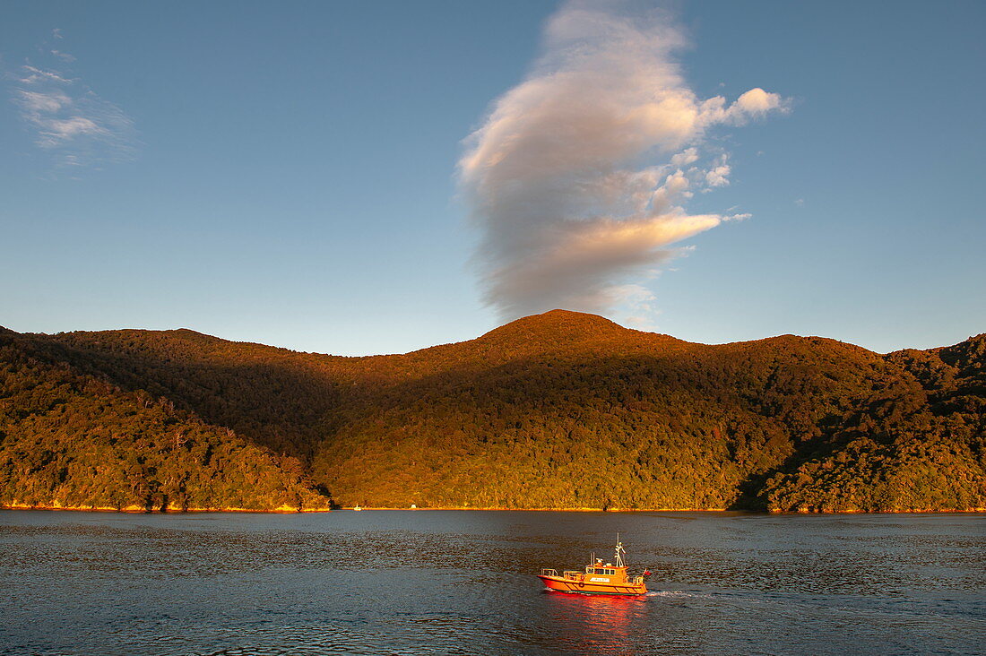 A pilot boat cruises in the late afternoon light against wooded hills and a strange cloud formation, Marlborough Sounds, South Island, New Zealand