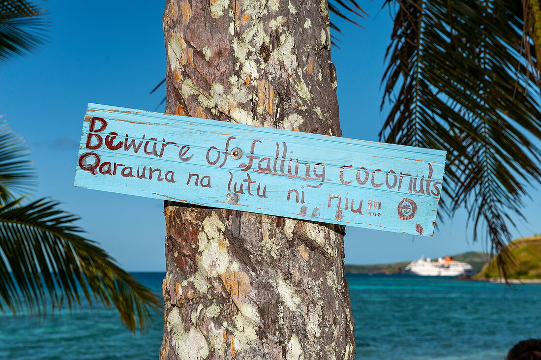 Zweisprachiges Schild am Stamm einer Palme warnt die Besucher vor herabfallenden Kokosnüssen, im Hintergrund das Meer und ein Expeditionskreuzfahrtschiff, Mamanuca Islands, Fiji-Inseln, Südpazifik