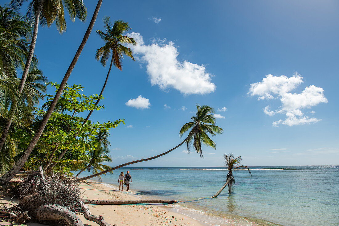 Seen from behind, two people run along a white sandy beach lined with palm trees, Pigeon Point, Tobago, Trinidad and Tobago, Caribbean
