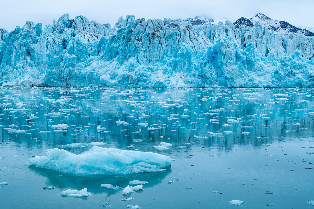 A rugged glacier front is reflected in the calm water surface, which is littered with mostly small pieces of ice, Lilliehöökfjord, Albert-I-Land, Spitsbergen, Norway, Europe