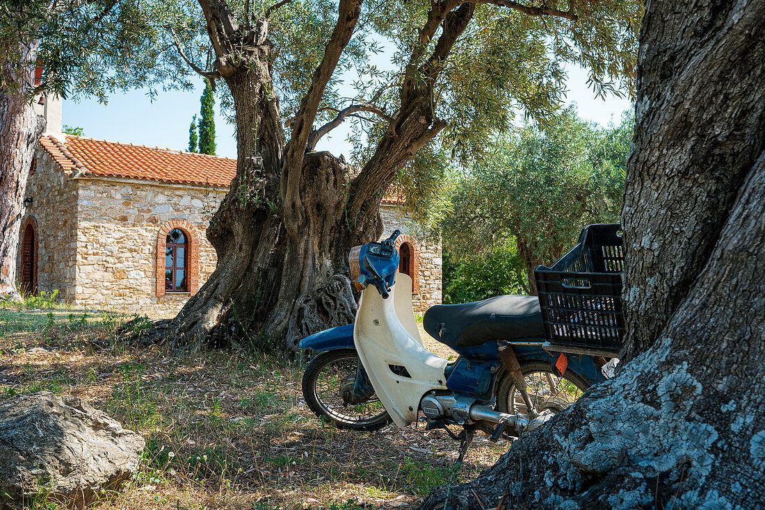 Kleines Moped abgestellt an einem Baum in Skiathos, Griechenland