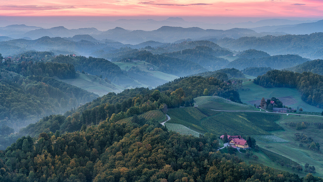 Morgendlicher Blick vom Aussichtsturm am Platschberg auf die hügelige slowenische Landschaft von Kungota, Slowenien