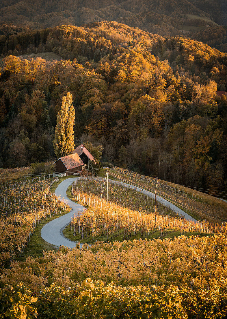 Die Herzerl Straße im Herbst unmittelbar an der Grenze zwischen der Steiermark und Slowenien