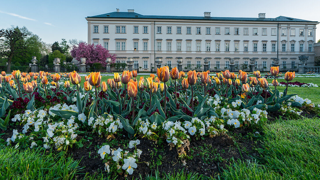 Blick auf die Gärten und das Schloss Mirabell in Salzburg, Österreich