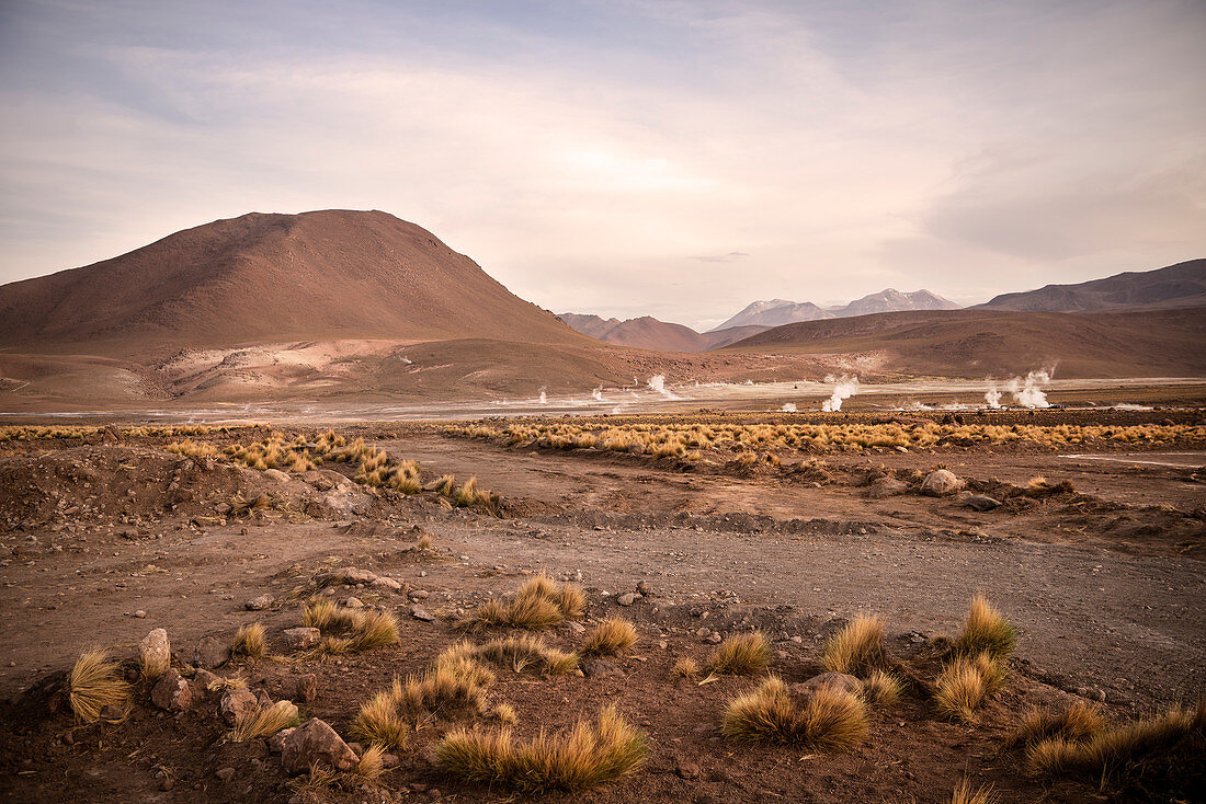 El Tatio Geysers, Atacama Desert, Antofagasta Region, Chile, South America