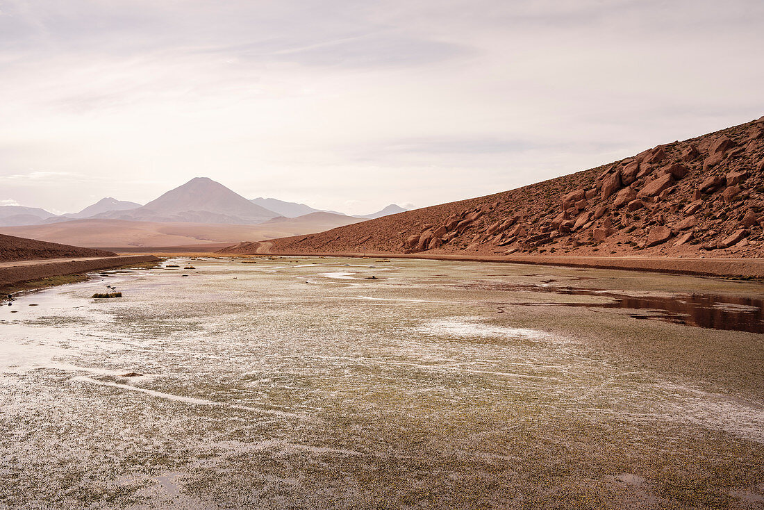High plateau &quot;Altiplano&quot;, Atacama desert, Antofagasta region, Chile, South America