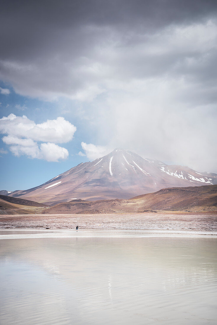Piedras Rojas lagoon, Altiplanicas lagoon, Altiplano plateau, Atacama desert, Antofagasta region, Chile, South America