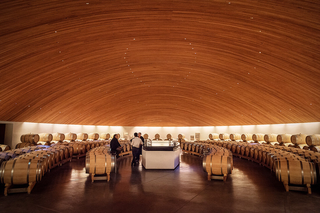 Wine tasting and storage, Lapostolle Winery, Santa Cruz, Colchagua Valley (wine growing area), Chile, South America