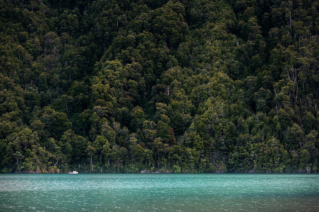 kleines Boot fährt in den Rio Petrohue, Region de los Lagos, Chile, Südamerika