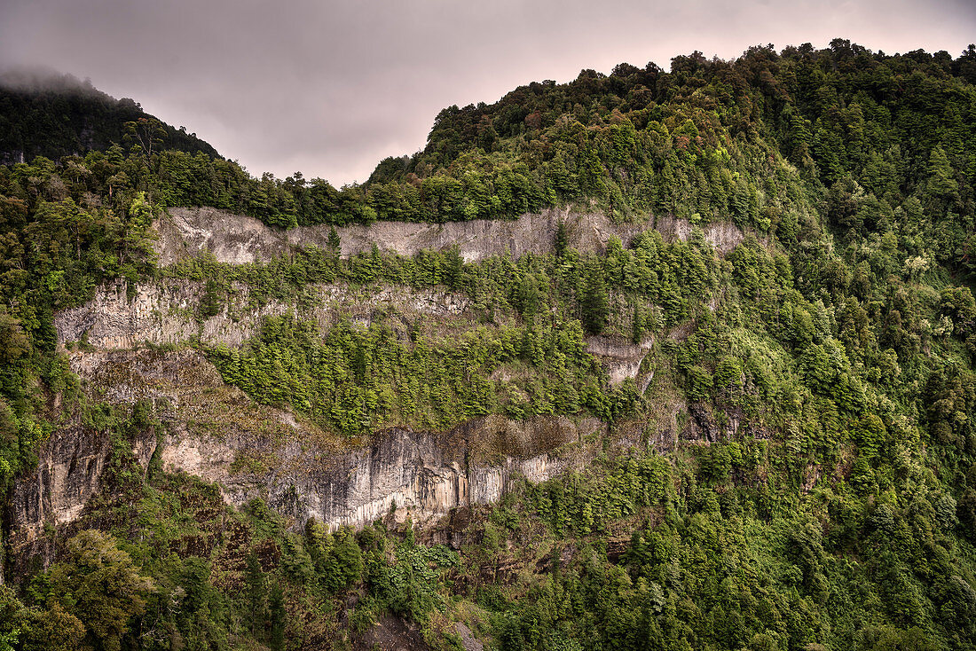 steile Felswand mit Baumbewuchs, Parque Salto Los Mañios, Lago (See) Ranco, Region de los Lagos, Chile, Südamerika