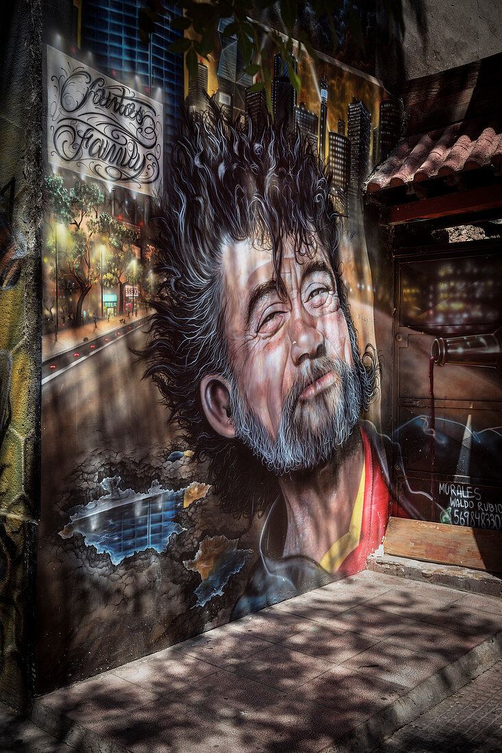 street-art mural (großes Wandgemälde) im Barrio Bellavista, Hauptstadt Santiago de Chile, Chile, Südamerika