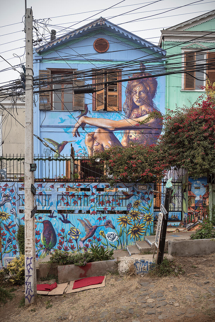 Mural (großes Wandbild), Streetart in den Straßen von Valparaiso, Chile, Südamerika