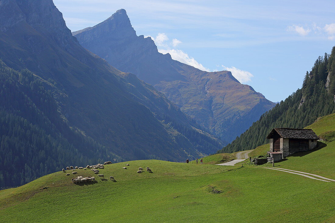 Einshorn und Splügen, Via Spluga, Graubünden