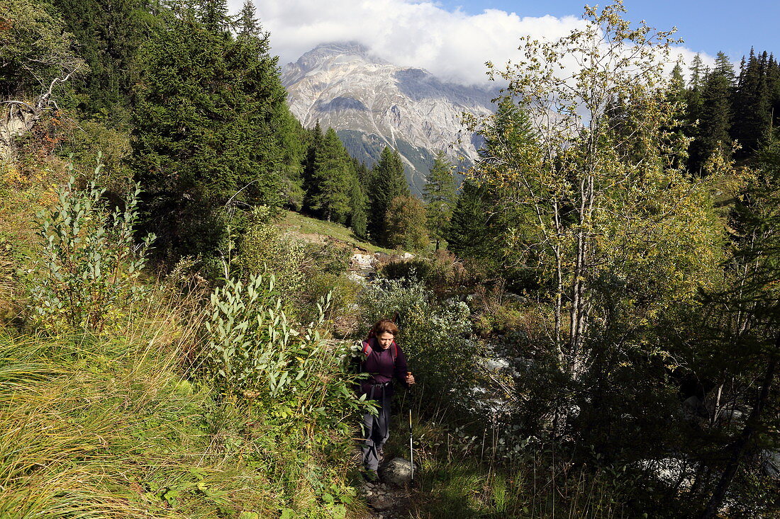 Aufstieg auf der Via Mala zum Splügenpass, Graubünden