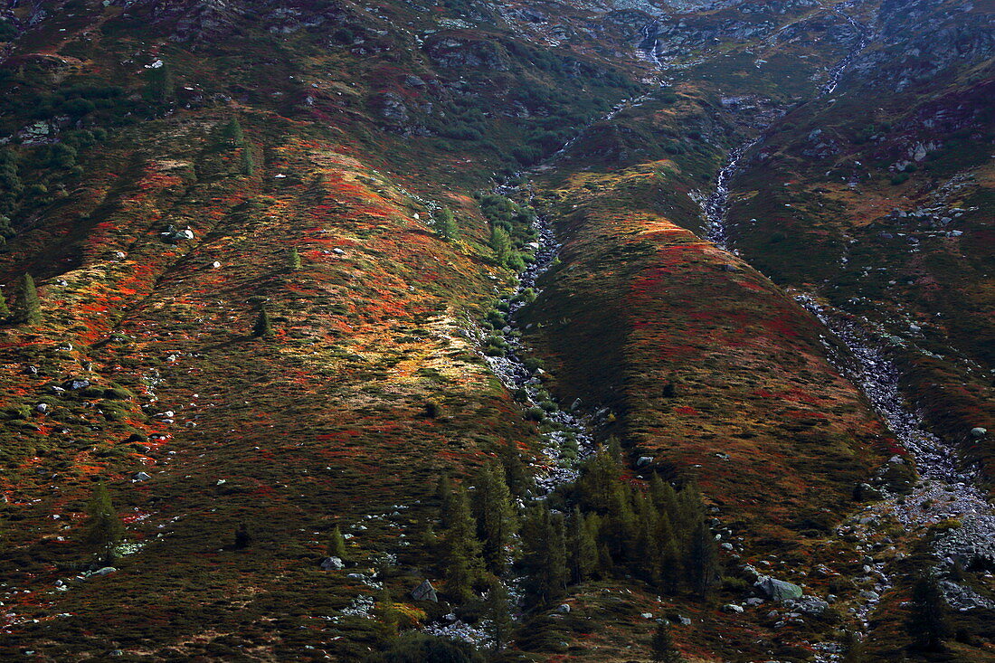 Hand des Surettahorn, Splügenpass, Via Mala, Graubünden