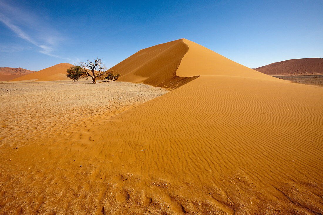 Düne 45 in Sossusvlei Areal, Namib Naukluft Park, Namibia