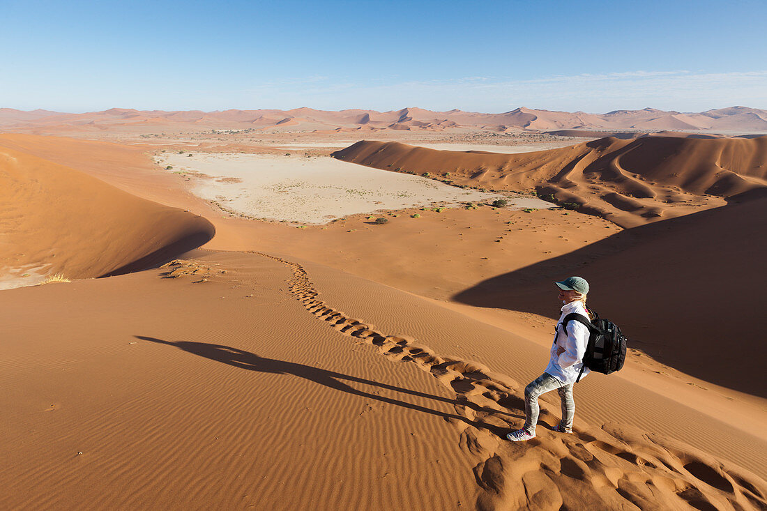 Big Daddy Düne im Deadvlei, Namib Naukluft Park, Namibia