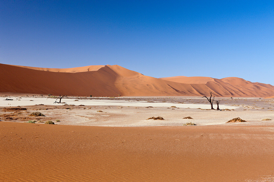 Impressions from Hiddenvlei, Namib Naukluft Park, Namibia