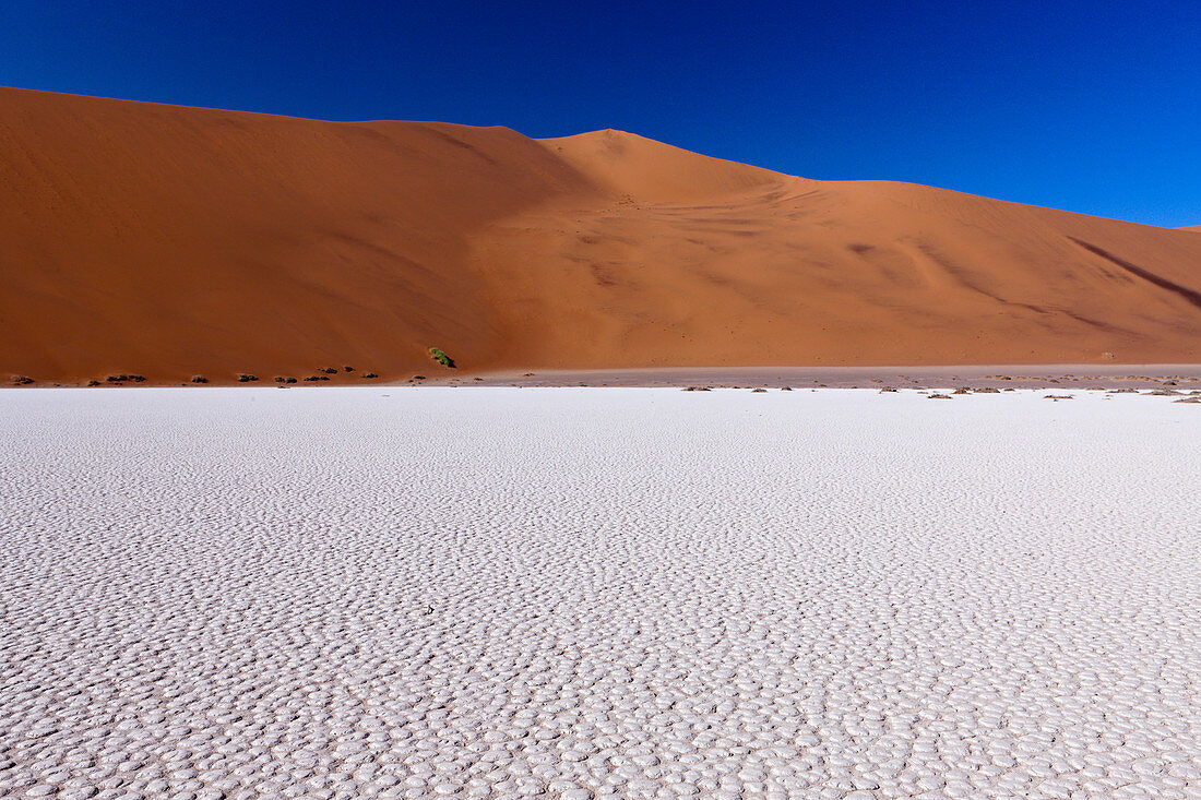 Impressions from Hiddenvlei, Namib Naukluft Park, Namibia