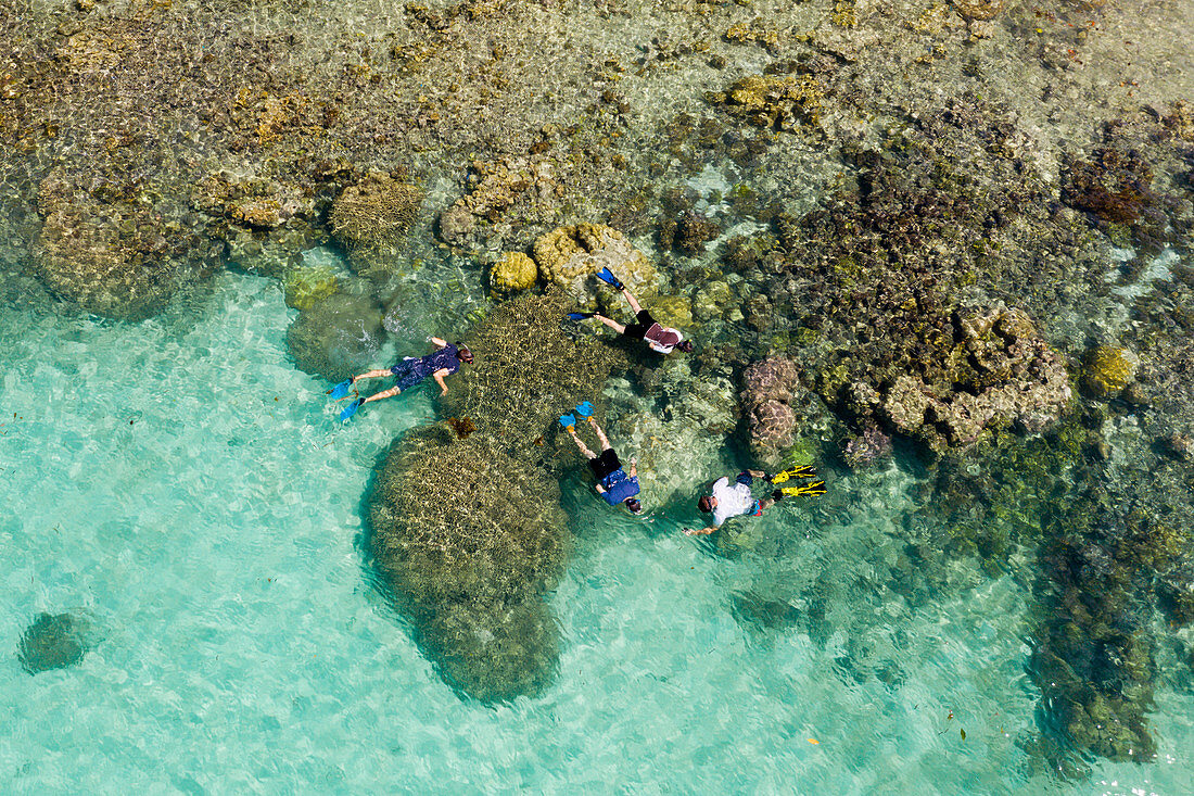 Snorkeling on the house reef of Lissenung, New Ireland, Papua New Guinea