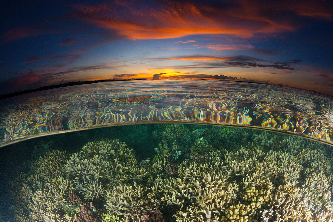 Korallenriff bei Sonnenuntergang, New Ireland, Papua Neuguinea