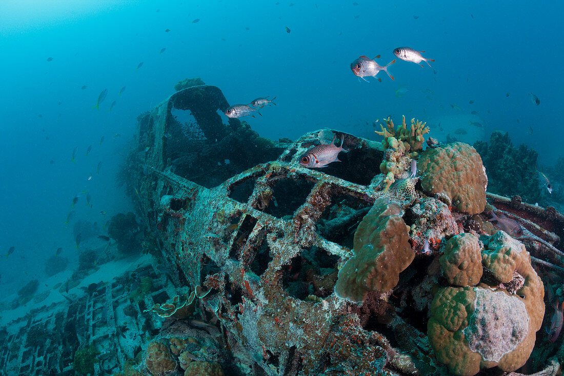 Japanisches Kate Bomber Wrack, New Ireland, Papua Neuguinea