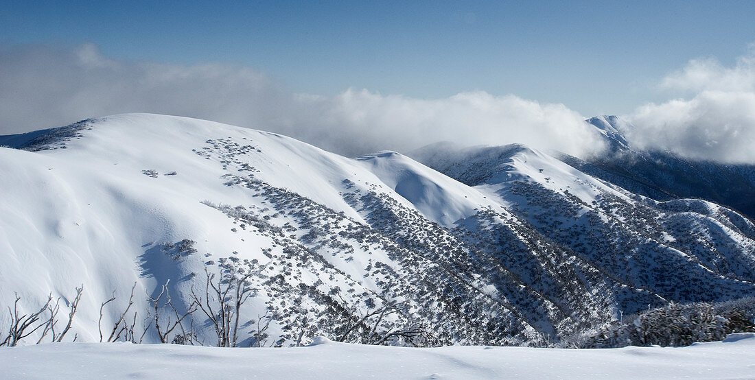 Blick vom Mt. Hotham Skigebiet zum tief verschneiten Mount Feathertop und der Razorback Ridge, Victoria, Australien