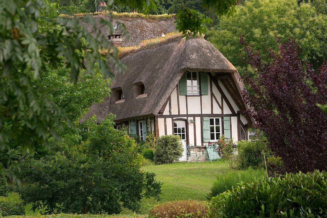 Frankreich, Eure, Regionaler Naturpark Boucles de la Seine Normande, Dorf Vieux Port, traditionelles Fachwerkhaus mit Strohdach