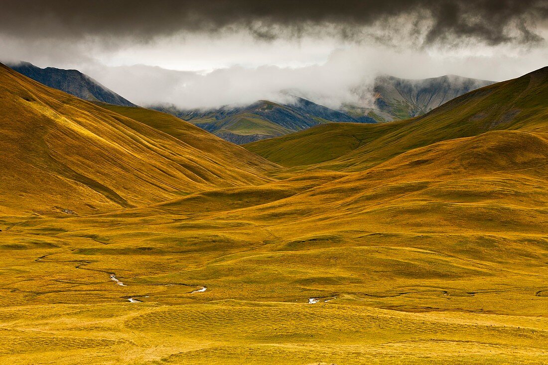 France, Isere, Ecrins National Park, the Emparis plateau