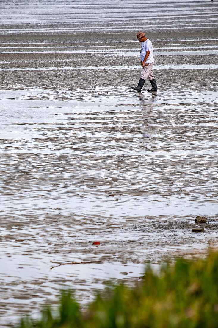 Crab collector in the Leisure Island Lagoon, Knysna, Garden Route, South Africa, Africa