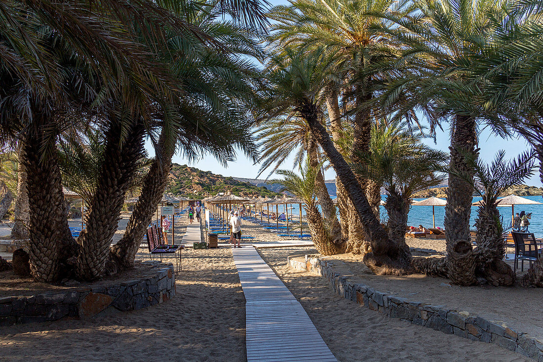 Eingang zum berühmten Palmenstrand von Vai, Osten Kreta, Griechenland