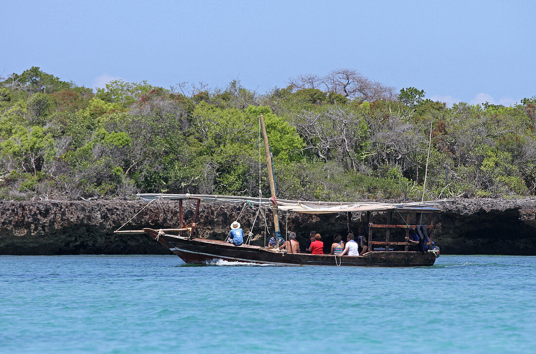 Traditionelles touristisches Segelboot vor einer Mangrove vor der Küste von Sansibar, Unguja Island, Tansania