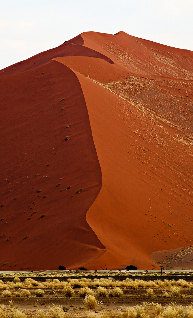 Namibia - 16. April 2009: Hohe Sanddünen im Namib-Naukluft-Nationalpark bei Sonnenaufgang