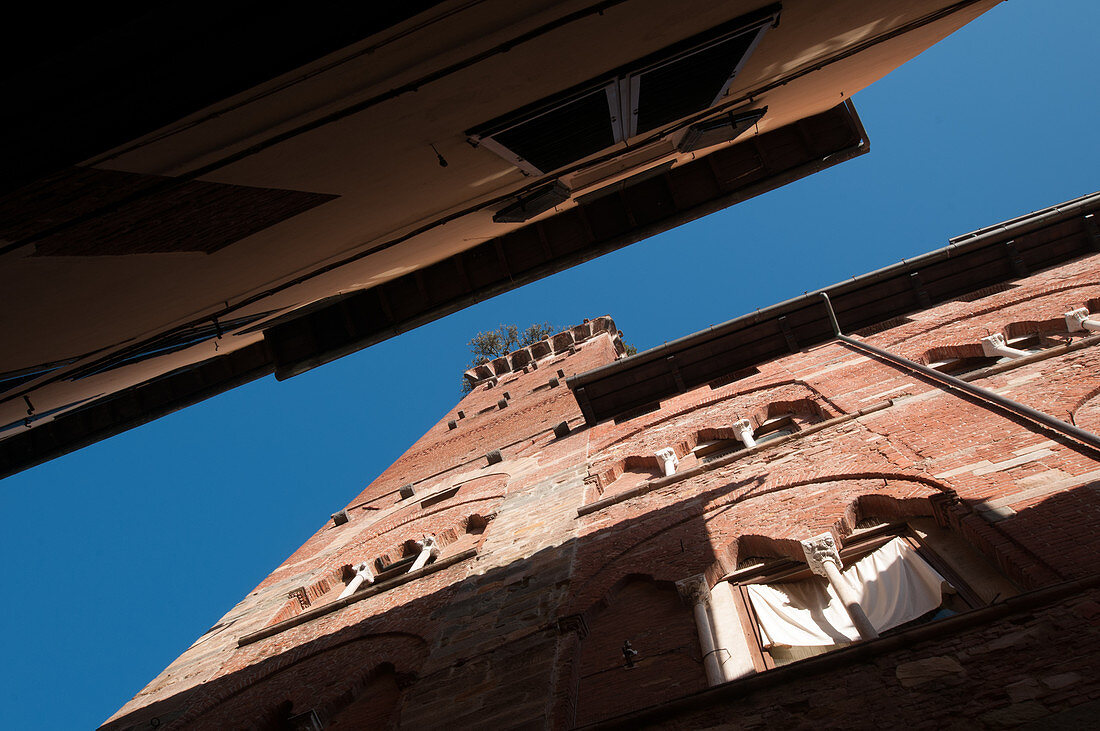 Guinigiturm (ital. Torre Guinigi), Lucca, Toskana, Italien