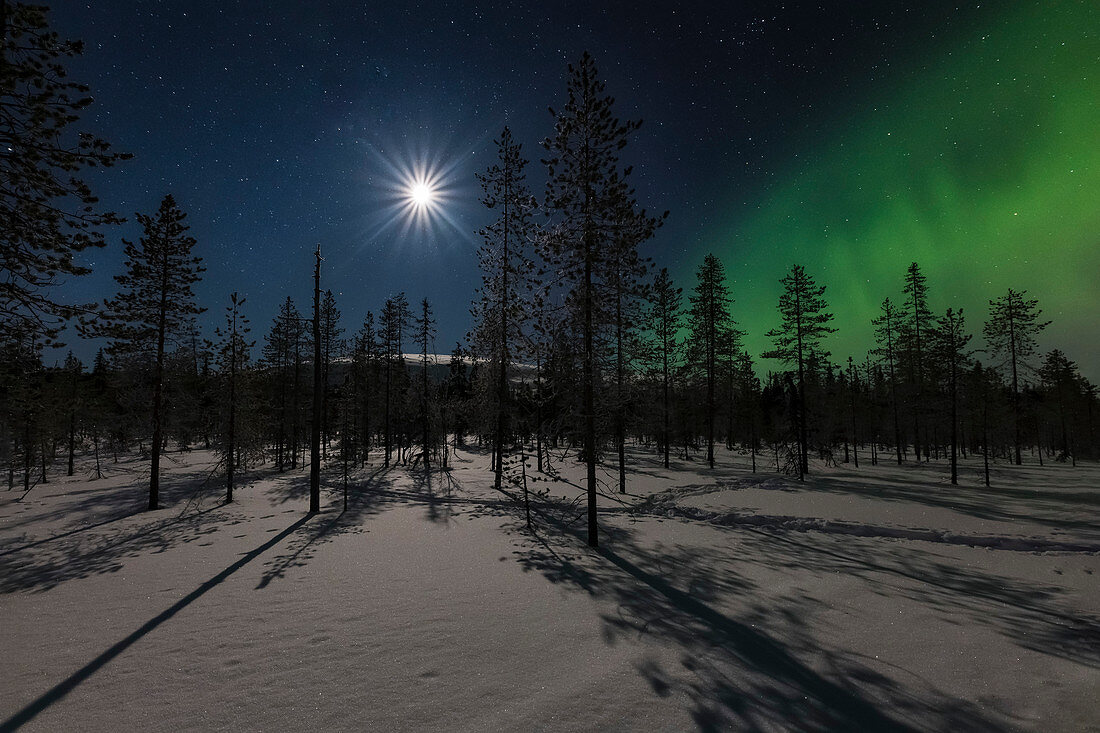 Nordlicht und Vollmond in finnisch Lappland