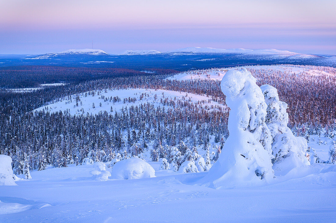 Tief verschneite Bäume auf den Hügeln von Luosto, Finnland
