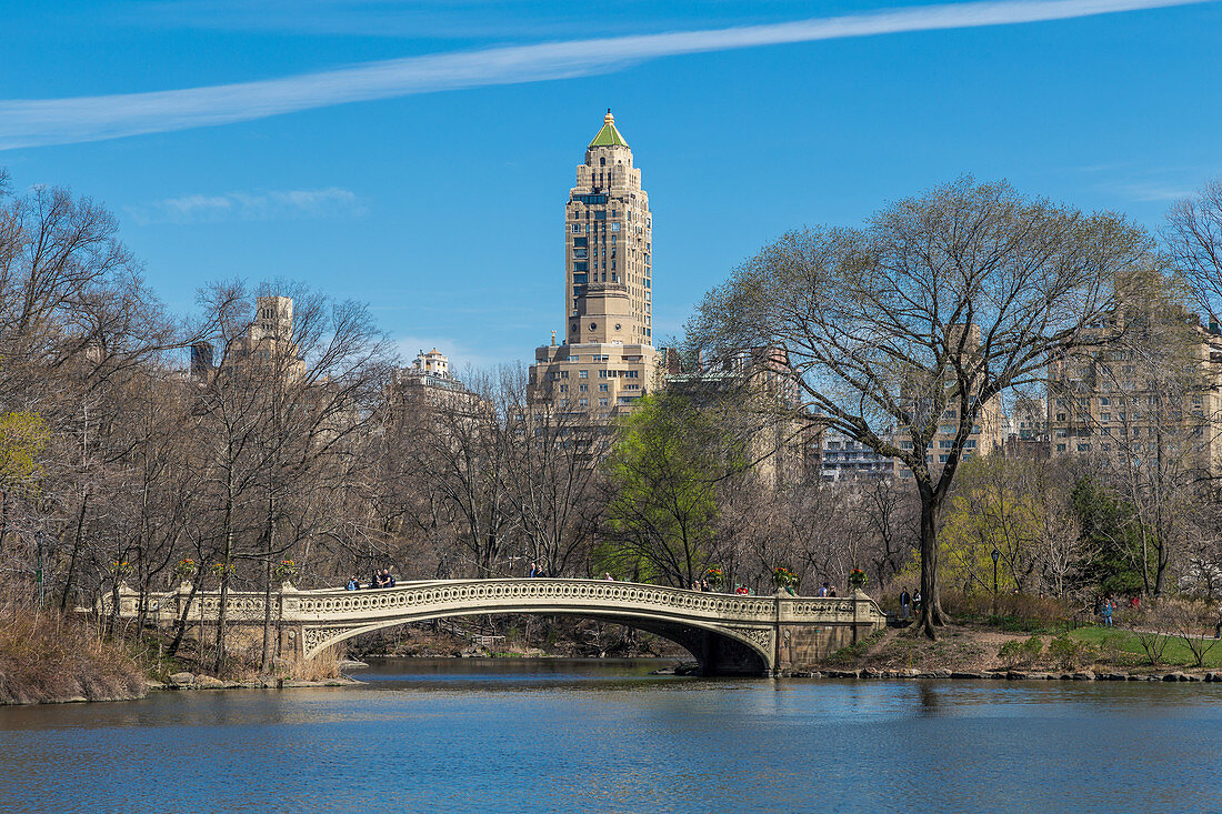 Central Park Bridge, New York City, USA