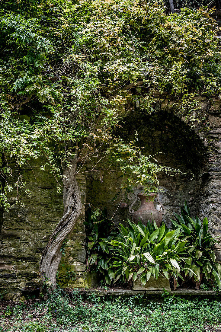 Brunnen in den Weinbergen oberhalb von Vernazza, Cinque Terre, Italien