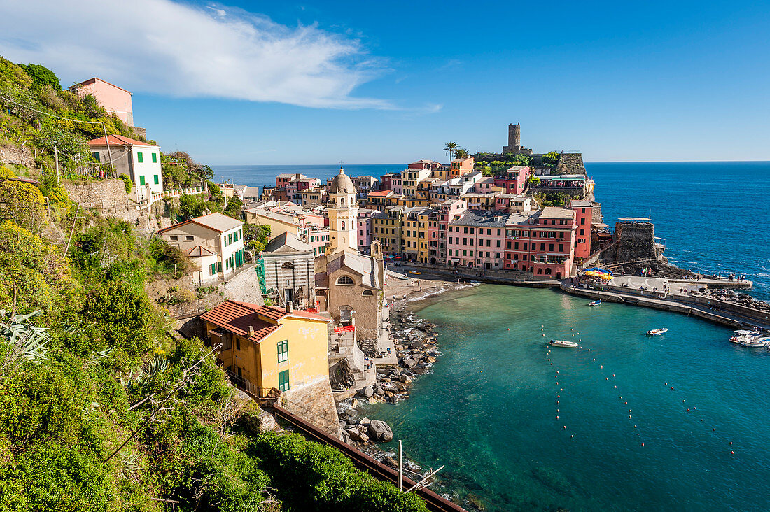 View from above of the vineyards down to the port of Vernazza, Cinque Terre, Italy