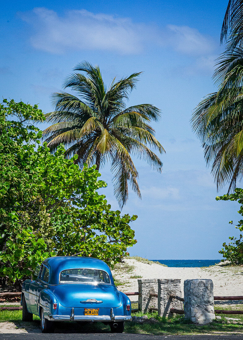 Vintage car on the beach with palm trees, Varadero, Cuba