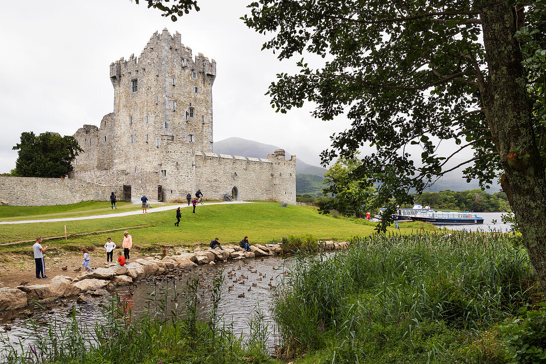 Ross Castle, Killarney Nationalpark, Grafschaft Kerry, Irland, Europa 