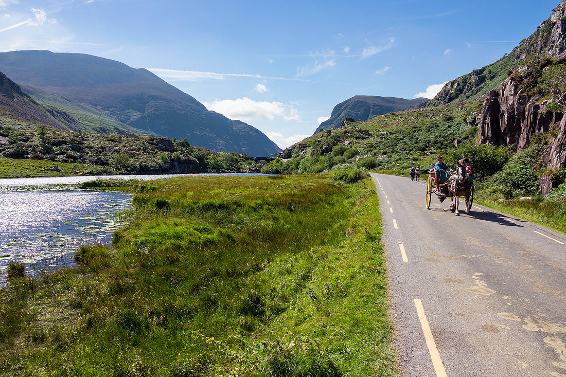 Gap of Dunloe Road, horse carts, County Kerry, Ireland, Europe